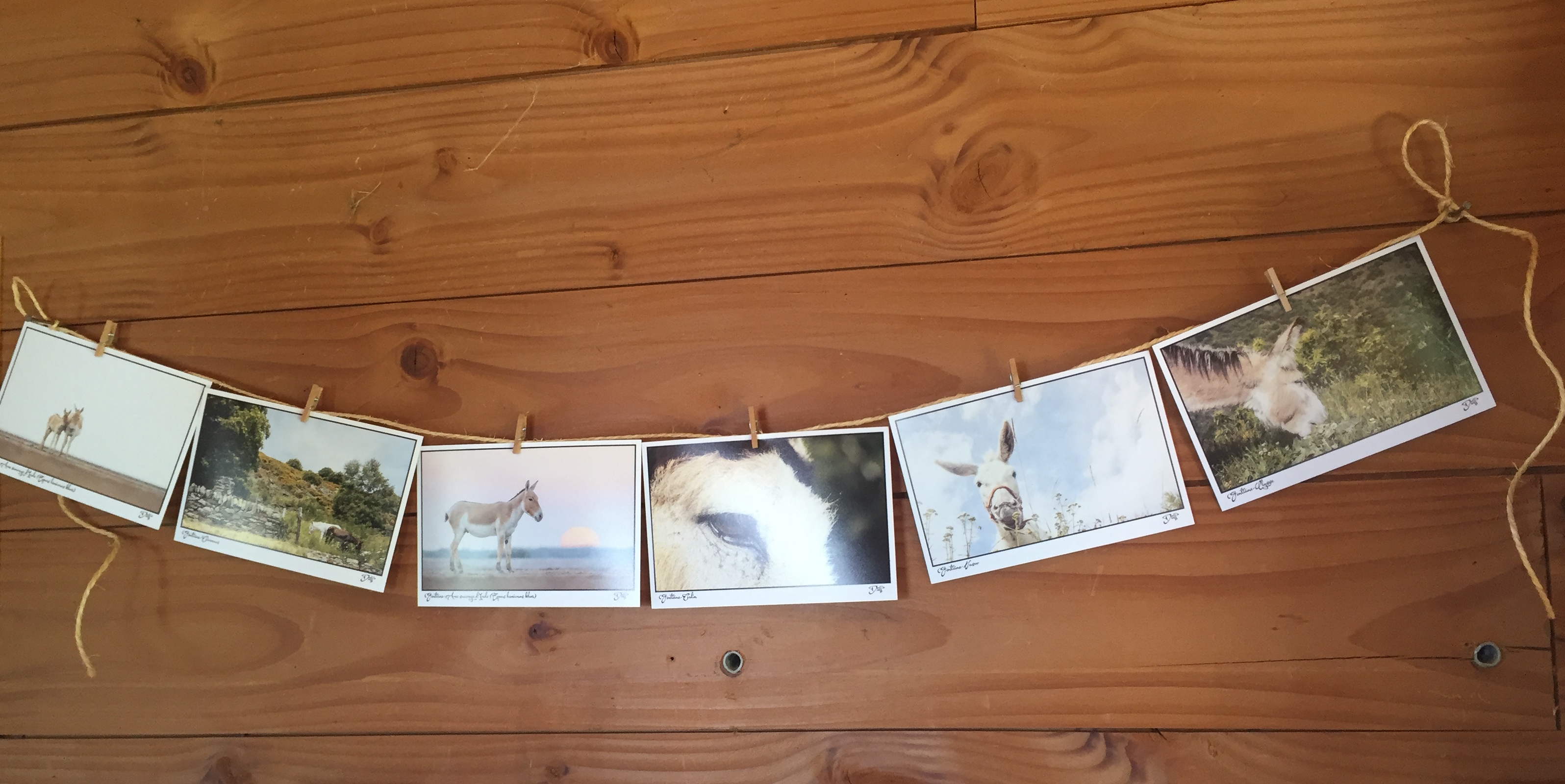 This image for Image Layouts addon